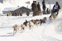 Lenk 2012 SM